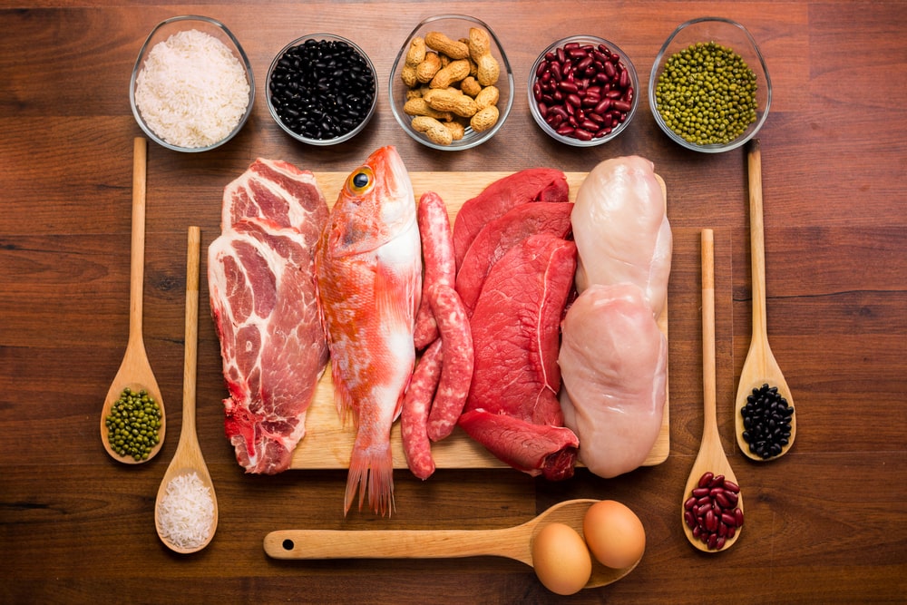 vai trò của protein cần thiết cho chế độ ăn lành mạnh